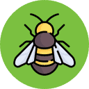 Bees | Bug Off Pest Control Port Charlotte