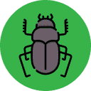 Dung beetle | Bug Off Pest Control Port Charlotte