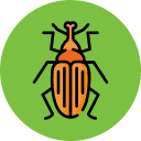 Bug Off Pest Control Port Charlotte