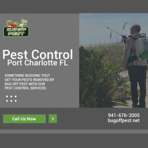Pest Control in Port Charlotte