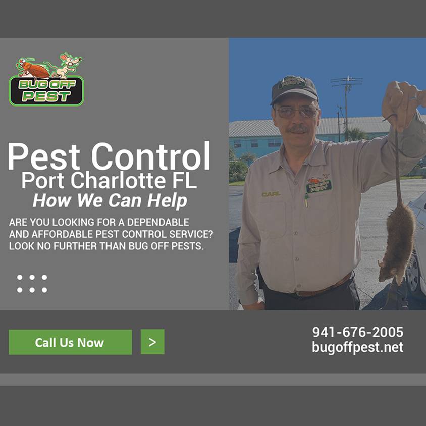 Pest Control in Port Charlotte FL