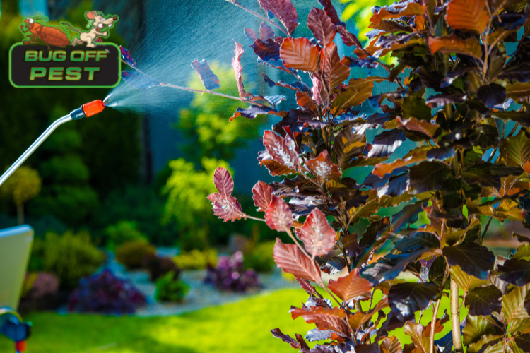 Pest Control Company