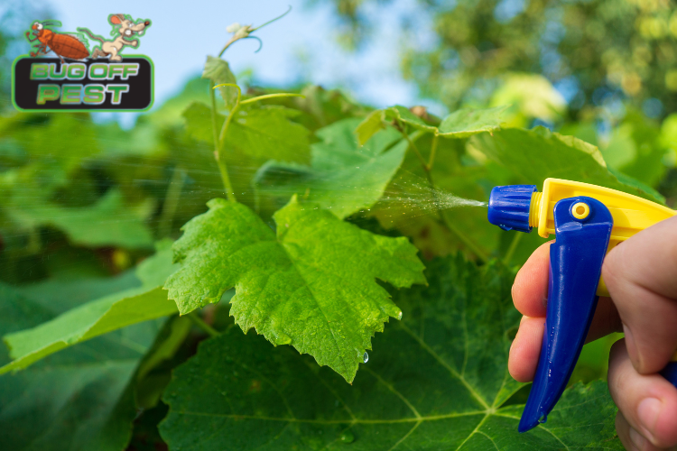 Organic Pest Control