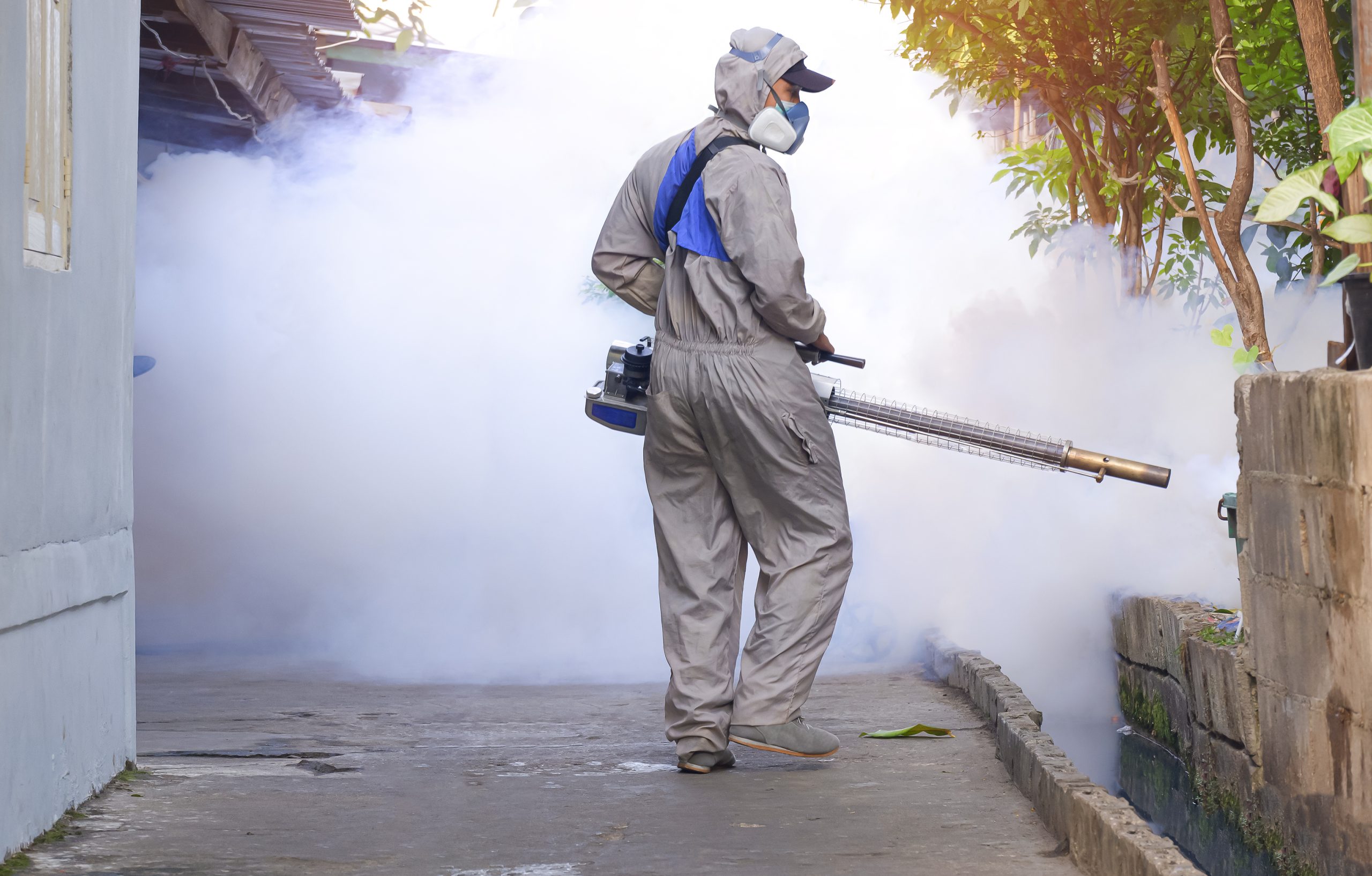 5 Reasons Why You Shouldn’t Do Your Own Pest Control | Bug Off Pest