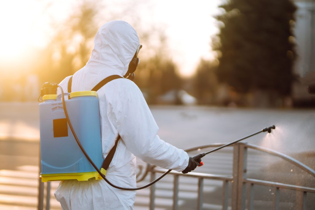 Pest Control Port Charlotte - Bug Off Pest