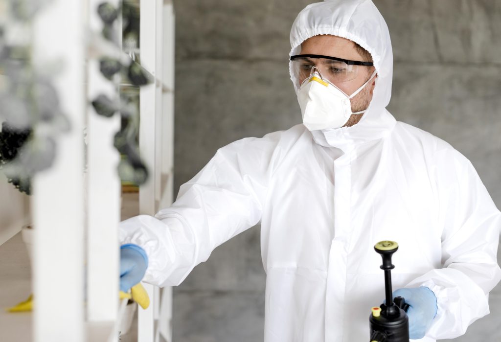Pest Control in Port Charlotte FL