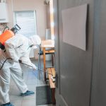 Professional Pest Control Services