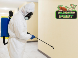 Pest Control in Charlotte County - Bug Off Pest