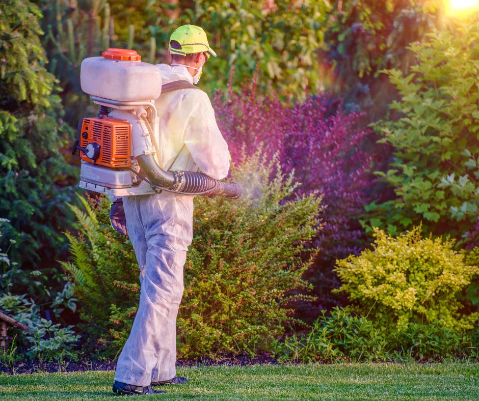 Commercial Pest Control Service In Port Charlotte