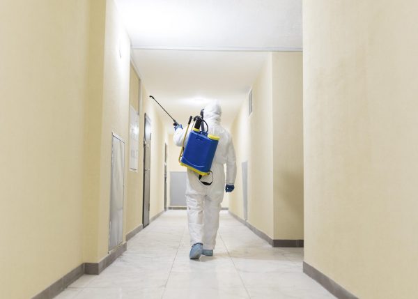 Commercial Pest Control Service In Port Charlotte