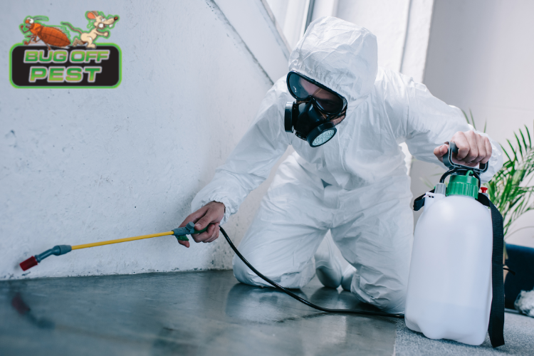 Babcock ranch pest control