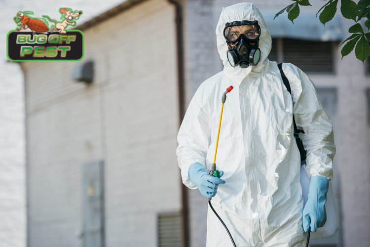 Affordable Pest Control Services in Babcock Ranch Florida