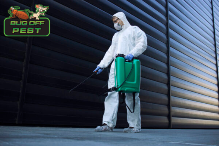 Babcock Ranch Pest Control
