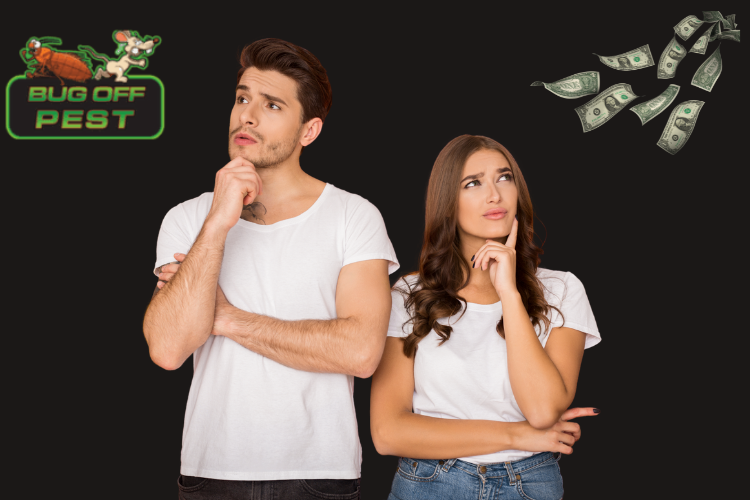 Pest Control Costs in North Port