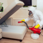 Quarterly Pest Control Plans