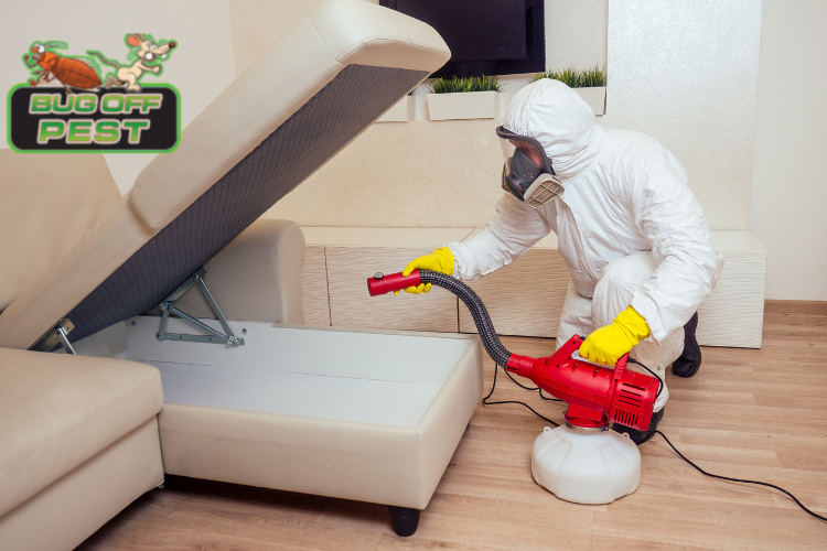 Quarterly Pest Control Plans