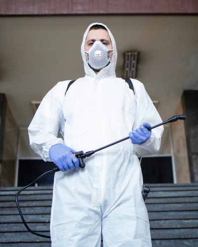 Cockroach Control in Port Charlotte