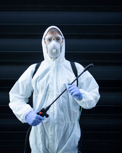 Pest Control in North Port