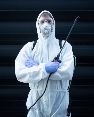 Pest Control in DeSoto County