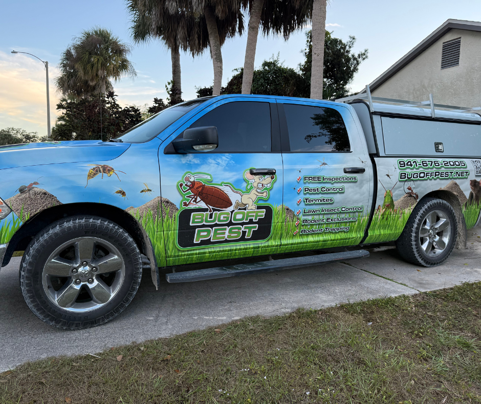 common pest problems in Southwest Florida homes