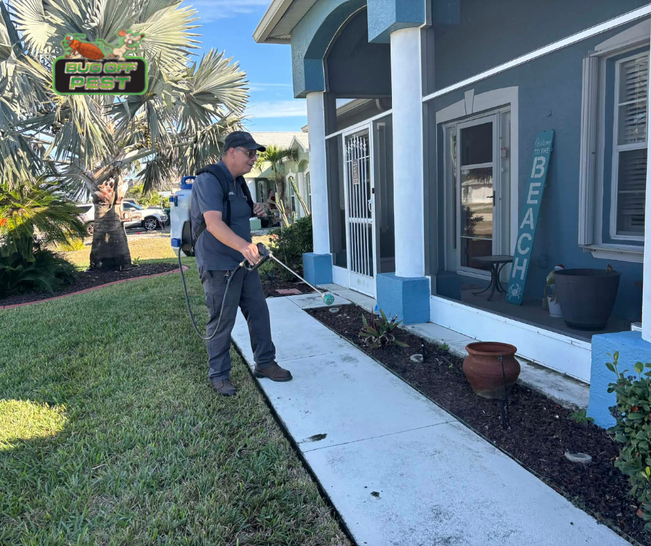 signs you need pest control in Southwest Florida homes