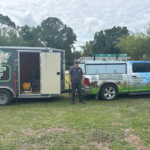 how to get rid of palmetto bugs