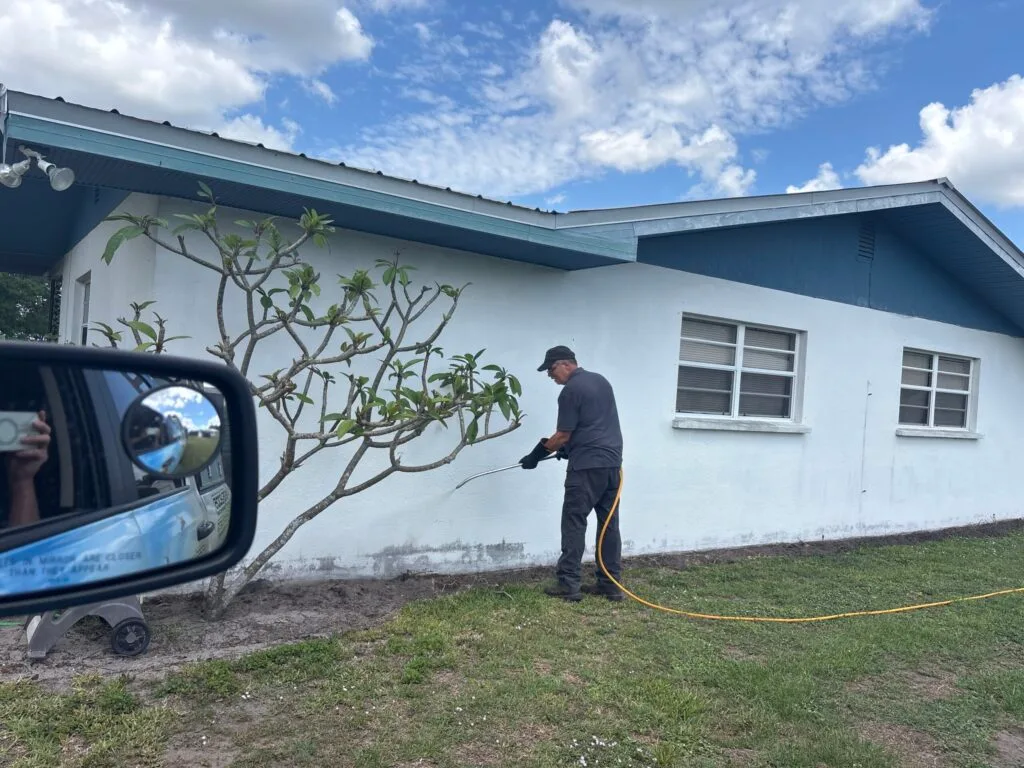 Bug off pest job 1 scaled