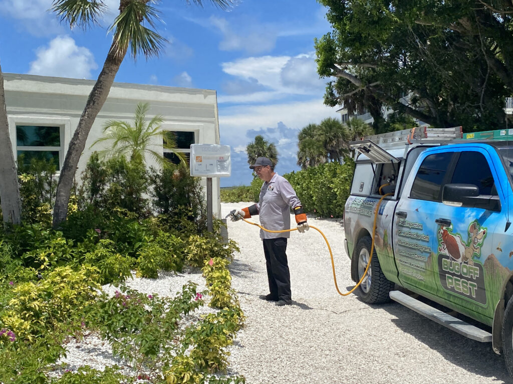 Yard & Lawn Pest Control