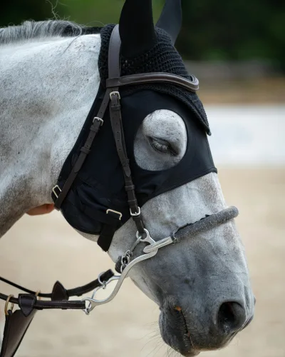 Equine-Pest-Protection-Service-Port-Charlotte