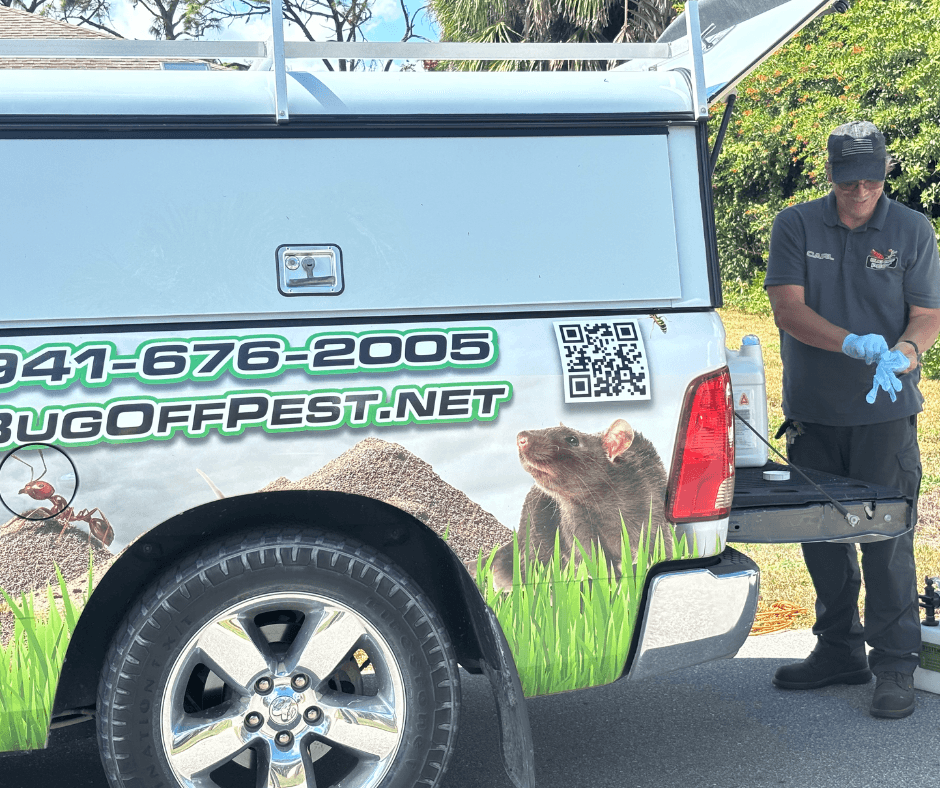Free Pest Inspection