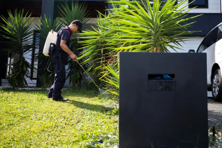 Lawn and landscape pest control treatment on a Florida yard