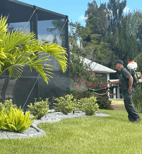 Pest control in charlotte harbor florida