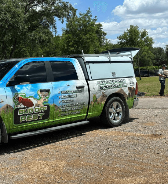 Pest control in desoto county FL bug off pest