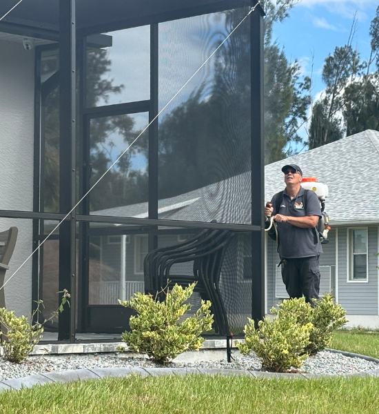 Pest control in Englewood
