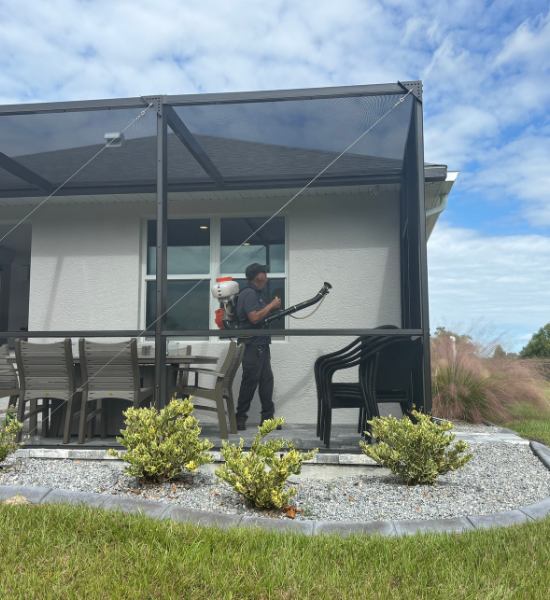 Pest control in Fort Myers
