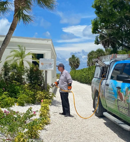 Pest control in harbour heights bug off pest