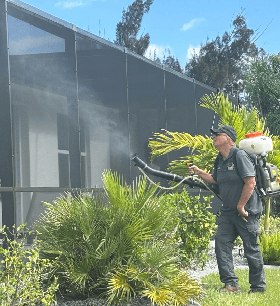 Pest control in Lee County