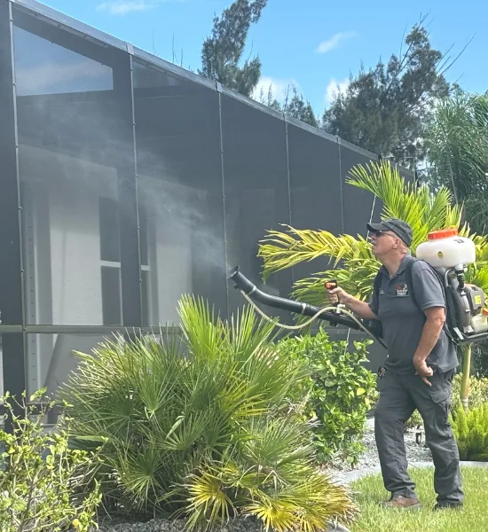 Pest control in Lee County