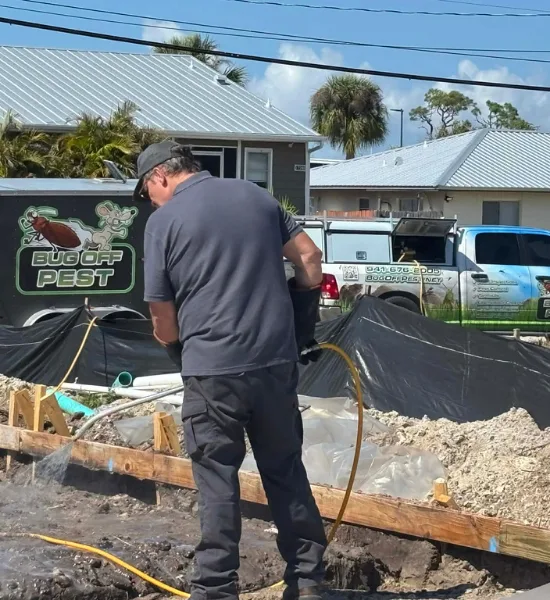 Pest control in North Port